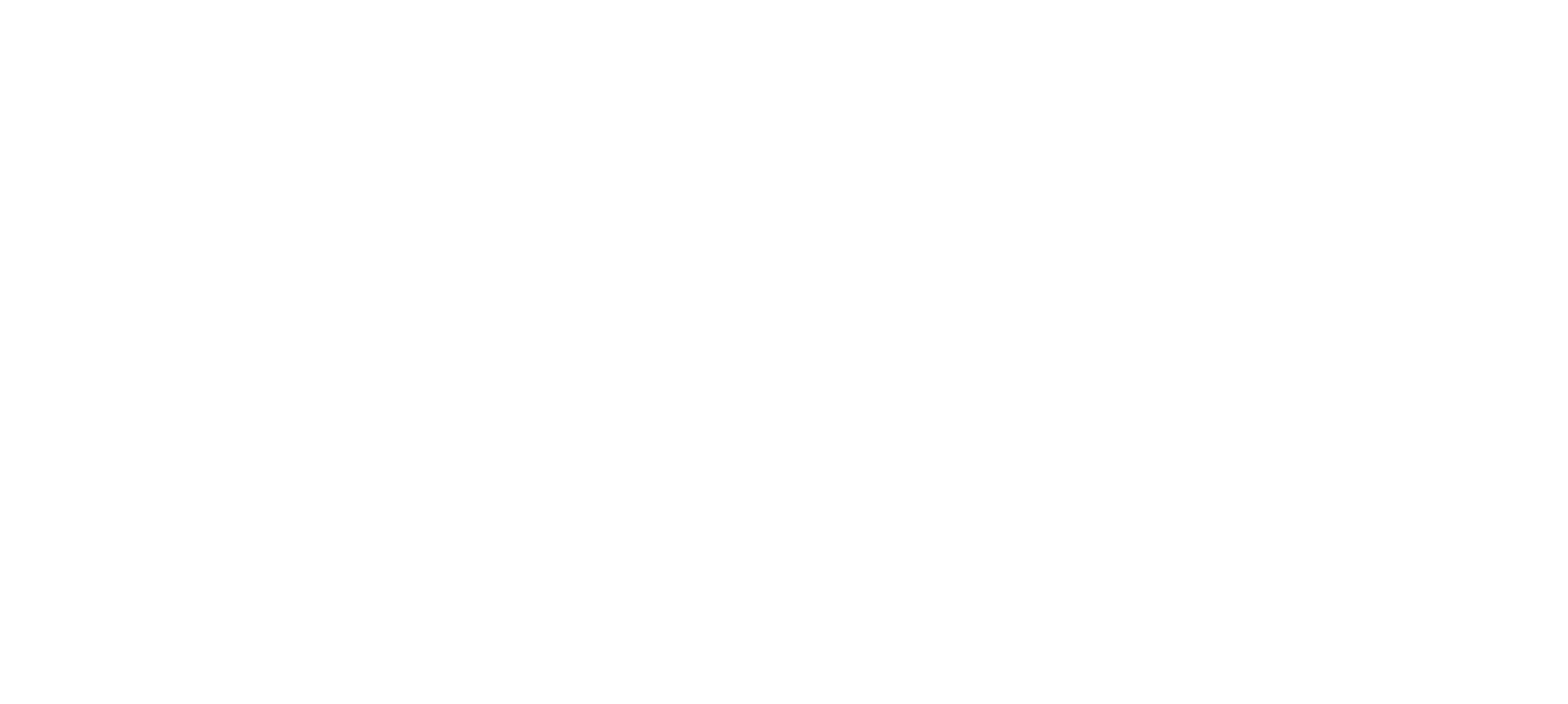 Sem Visão Clara, Não Existe Execução Real